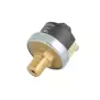 Presostato XP110 0,5 - 1,5 bar 1/4 "