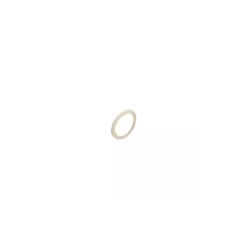 Guarnizione resistenza PTFE La San Marco 56x46,5x3mm