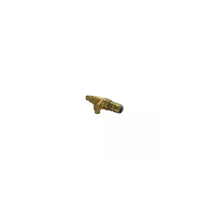Rancilio water/steam tap