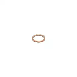 Kupfer dichtung 21x17x2mm