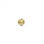 Bezzera Ellisse steam and water gasket holder
