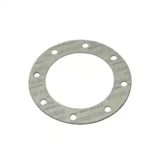 Faema Mercurio boiler gasket