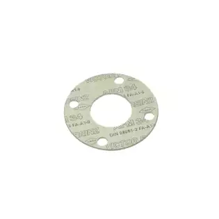Faema Mercurio/marte group FDA gasket