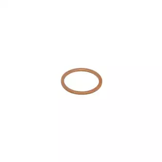 Rancilio kupfer dichtung 24x20x1mm