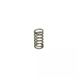 Rancilio valve spring