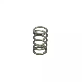 Valve spring for steam and water valve